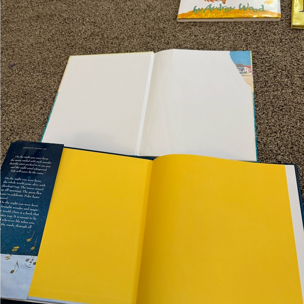 Children's Book Collection - Picture 7 of 8